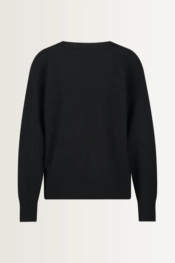 Ronde hals trui cashmere