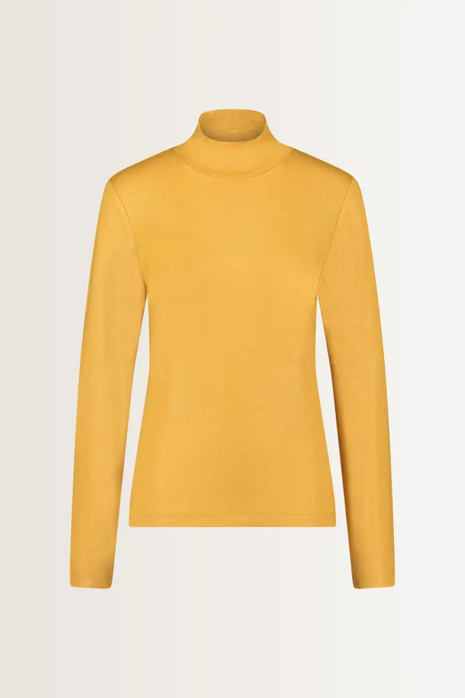 Metallic turtleneck top