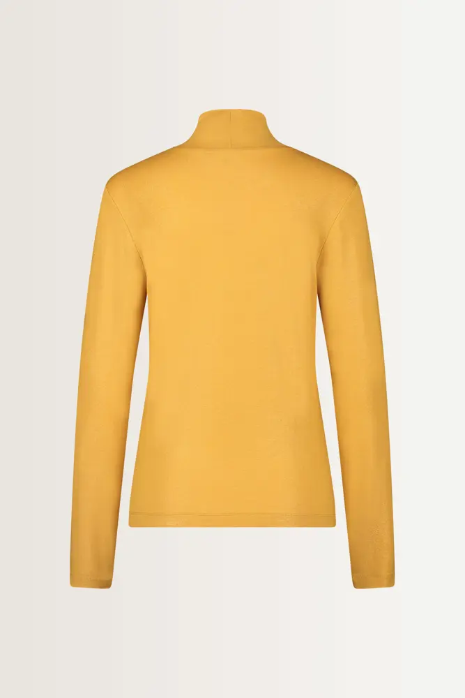 Metallic turtleneck top