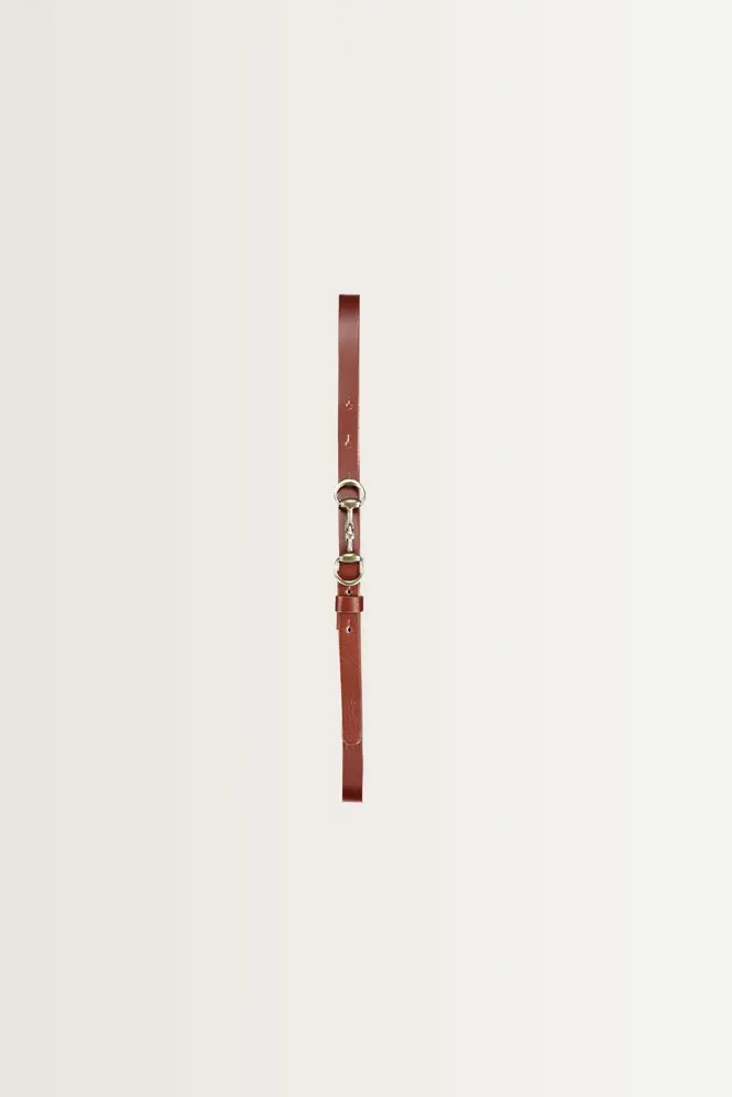 Smalle riem met goudkleurige bit-gesp