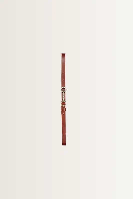Smalle riem met goudkleurige bit-gesp