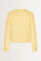 Tweedlook blazer franjedetails