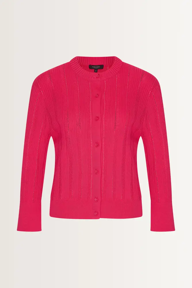 Fijngebreid vest ajourrib