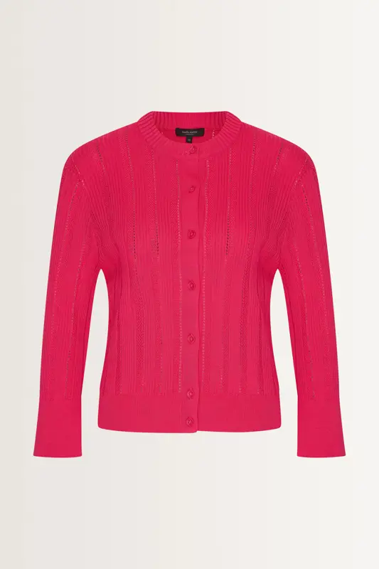 Fijngebreid vest ajourrib