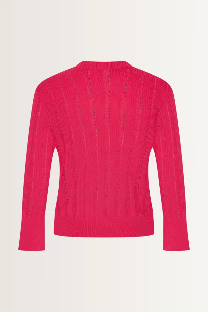 Fijngebreid vest ajourrib