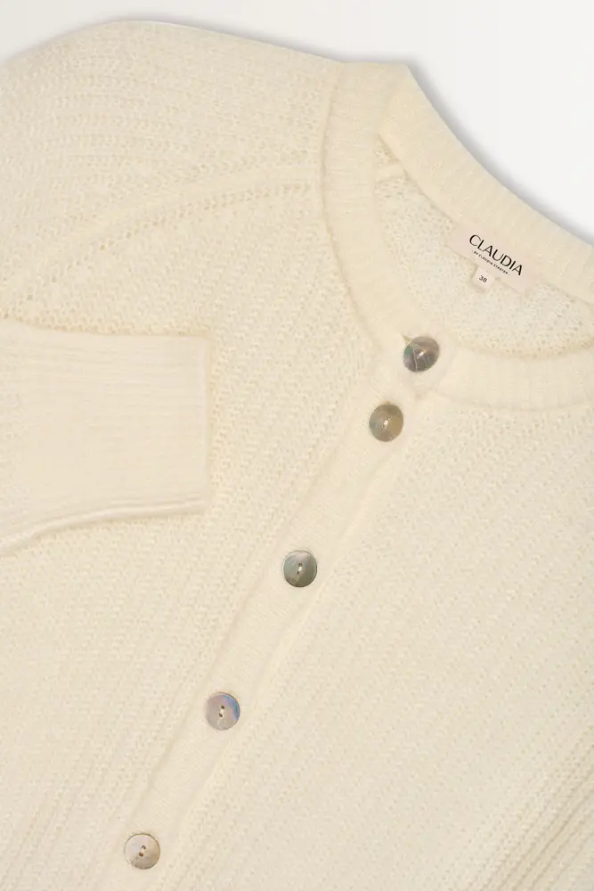 Gebreid vest met parelmoerknopen
