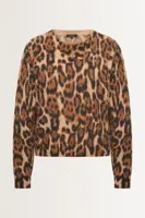 Alpacamix trui met luipaardprint