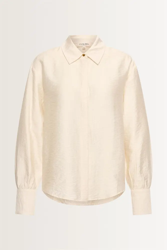 Viscosemix blouse met glans
