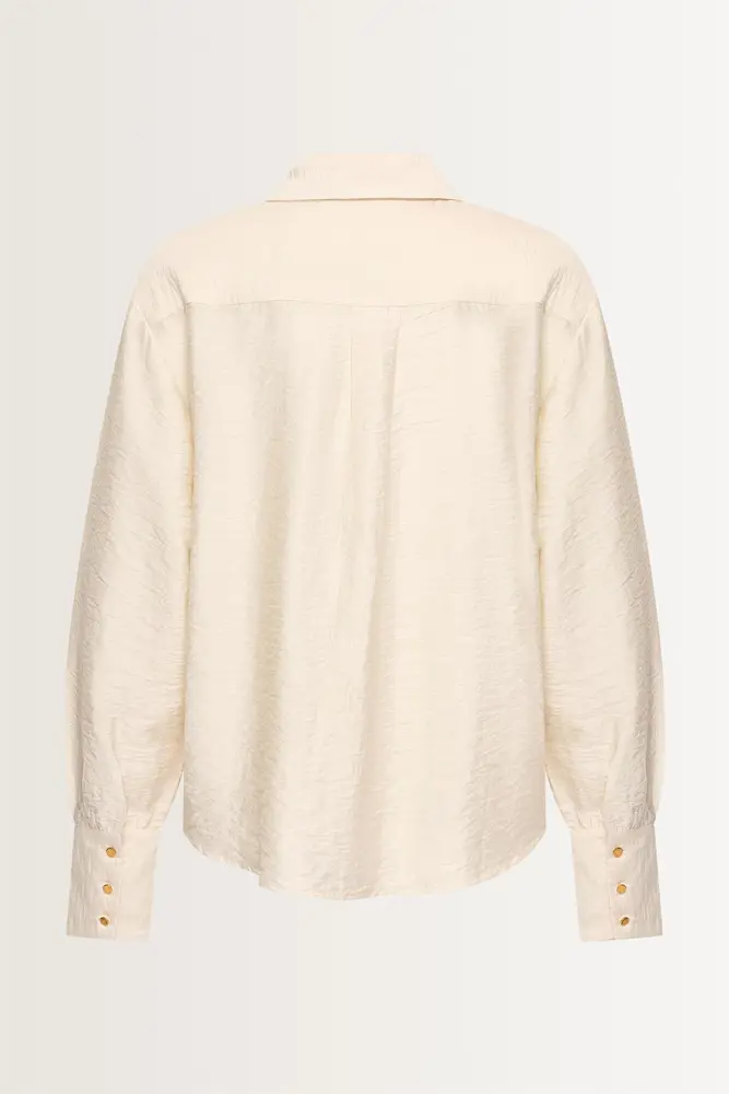 Viscosemix blouse met glans