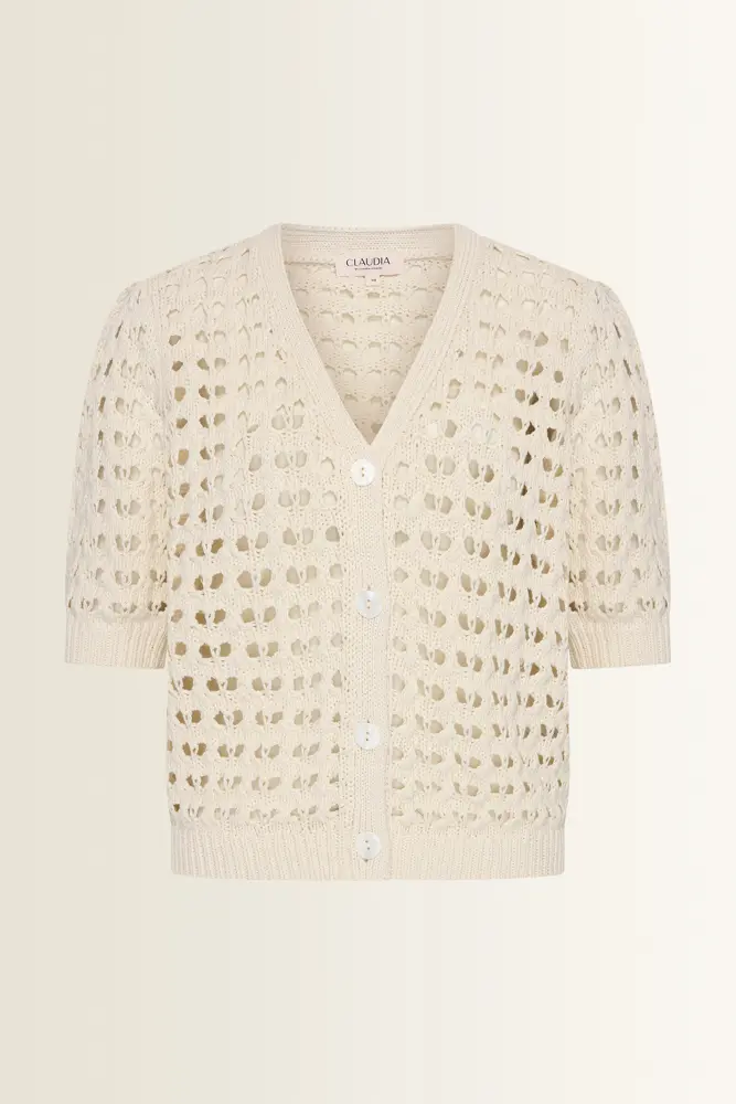 Vest in ajourbrei
