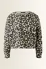 Korte wolmix trui met leopard dessin OUI