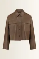 Jack van nappaleer Piovra Max Mara Weekend