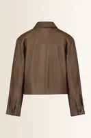 Jack van nappaleer Piovra Max Mara Weekend