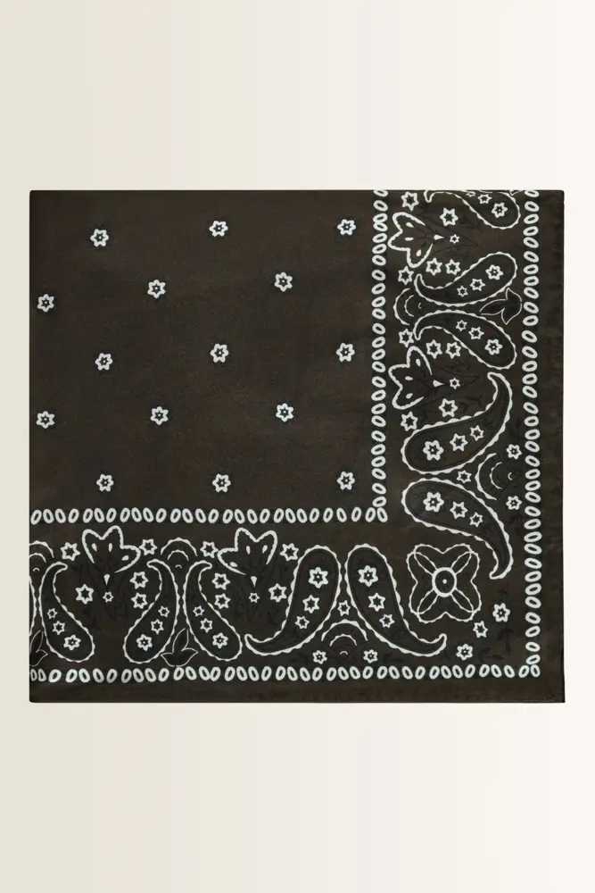 Zijden shawl met bandanaprint Elodia Max Mara Weekend