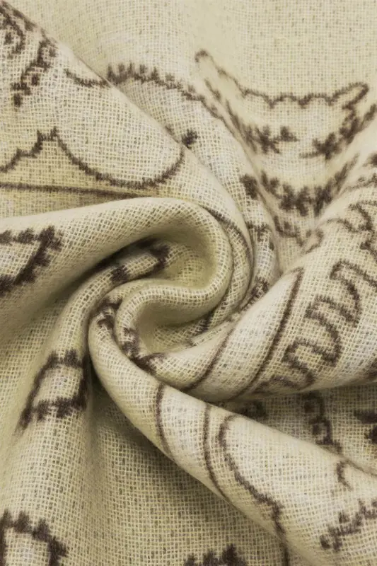 Shawl met paisleyprint en franjes FRAAS