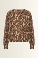 Alpacamix trui met luipaardprint